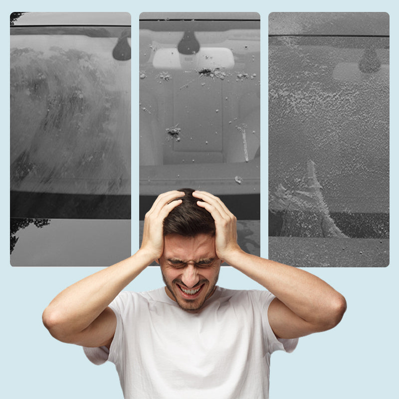 Blueberry Concentrated Windshield Washer Fluid