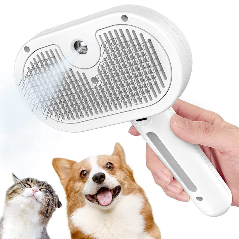 🐶Spring Special 59% OFF🐱Pet Spray Hair Removal Comb
