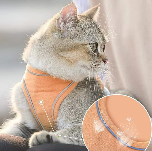 🔥Last Day Promotion 49% OFF🔥🔥One Piece Vest Leash
