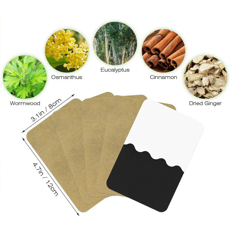 ⏳Time-Limited Sale 50% OFF⏰ Ginger Pain Relief Patches – Natural Heat Therapy for Aches & Stiffness | Stick It Where It Hurts! 💆‍♀️