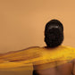 🔥Hot Sale ✨African Exfoliating Net Sponge（with Lemon Turmeric & Kojic Acid Brighetning Soap ）