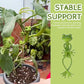 🐸Frog plant stand - Cute & stable support for small potted plants & succulents🌿