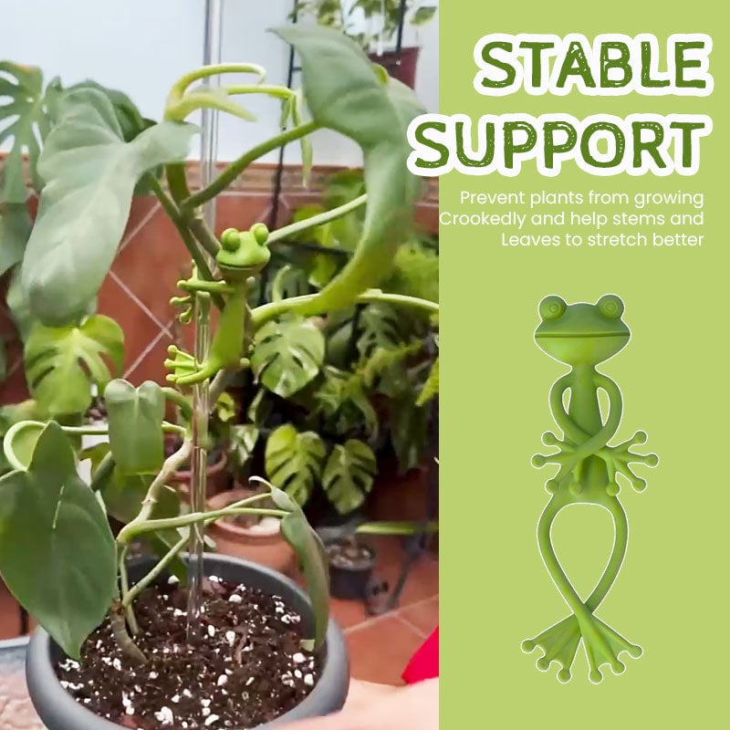 🐸Frog plant stand - Cute & stable support for small potted plants & succulents🌿
