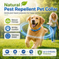 🎉 FLASH DEAL 50% OFF🐶🐱 – Plant-Based Flea & Tick Collar 🌿 Up to 8 Months Protection, Slow-Release Oils, Water-Resistant 💦 Repels Mosquitoes & Larvae, Comfortable & Safe for Daily Wear 🐕