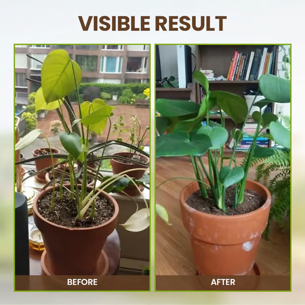 🔥 Limited Sales - Buy 1 Get 1 Free🔥Soil Improvement Loosening Agent