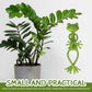🐸Frog plant stand - Cute & stable support for small potted plants & succulents🌿