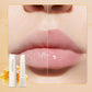 Nourishing Lip Stick -  Hydration & Anti-Chap Protection
