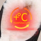 Women's Winter Waterproof Non-Slip Warm Shoes