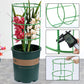 Removable plant stand support stakes for plants and flowers and fruits