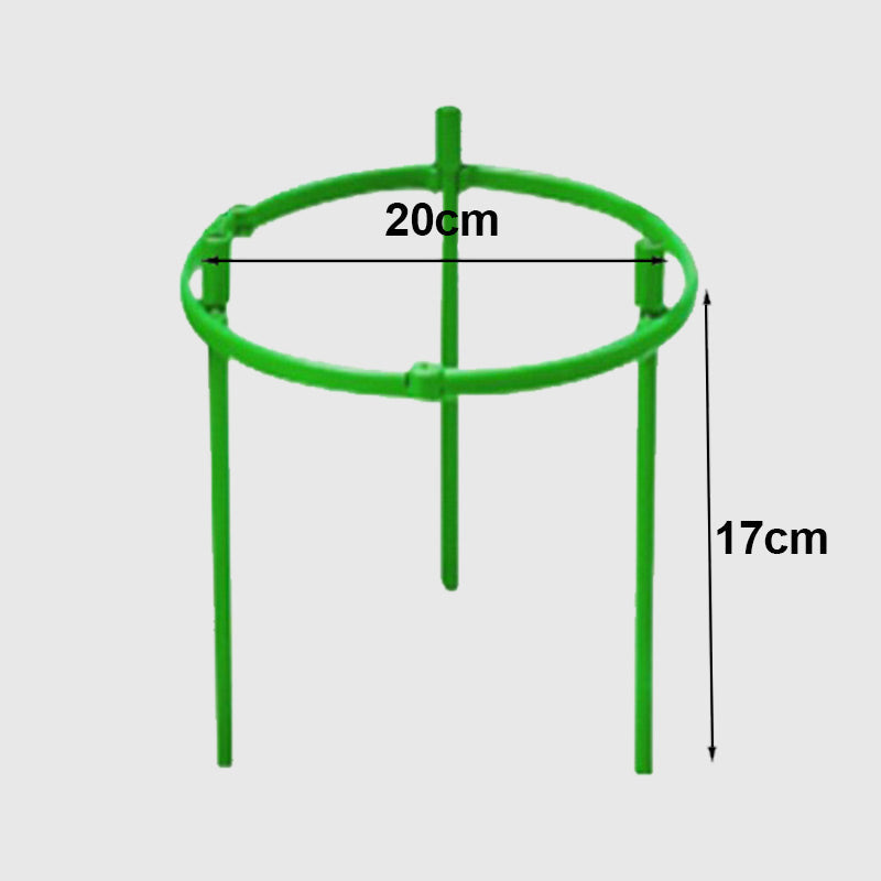 Removable plant stand support stakes for plants and flowers and fruits