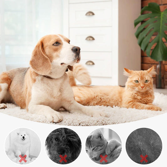 🐶Spring Special 59% OFF🐱Pet Spray Hair Removal Comb