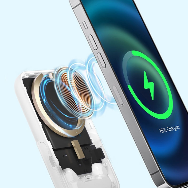 Versatile 4-in-1 Mobile Power Bank Set