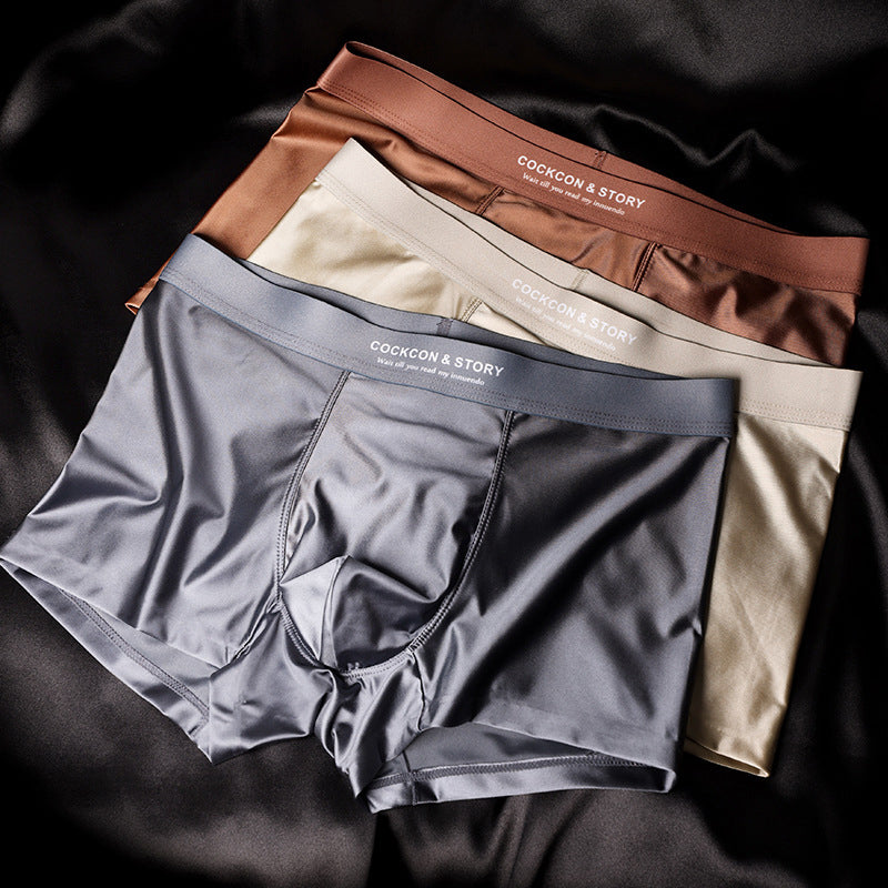 🔥Men's Satin Ice Silk Briefs