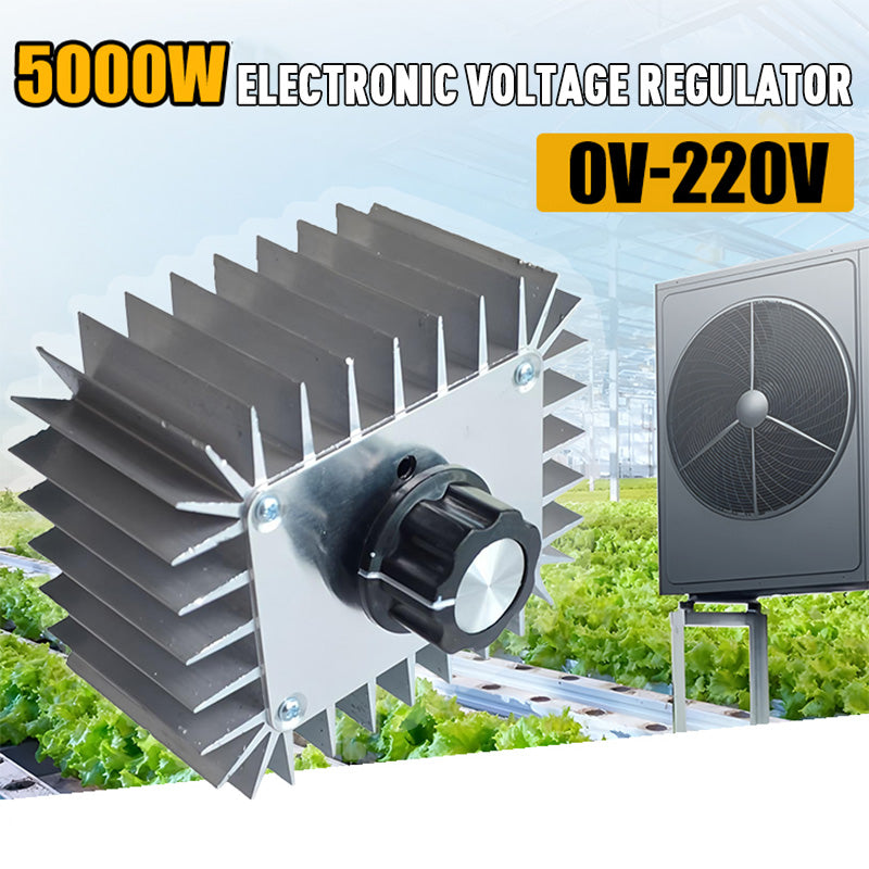 5000W Electronic Voltage Regulator