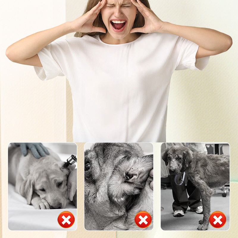 🔥Flea & Tick Repellent Spray for Cats and Dogs