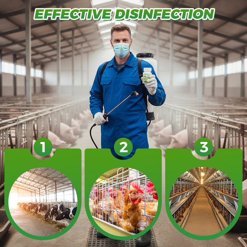 Sanitizer Effervescent Tablets for Livestock Farms