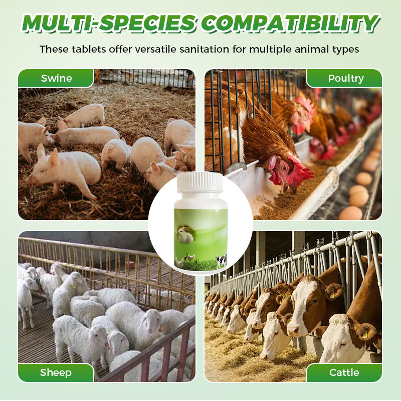 Sanitizer Effervescent Tablets for Livestock Farms