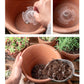 Planter Drainage Device Anti-Rot Root