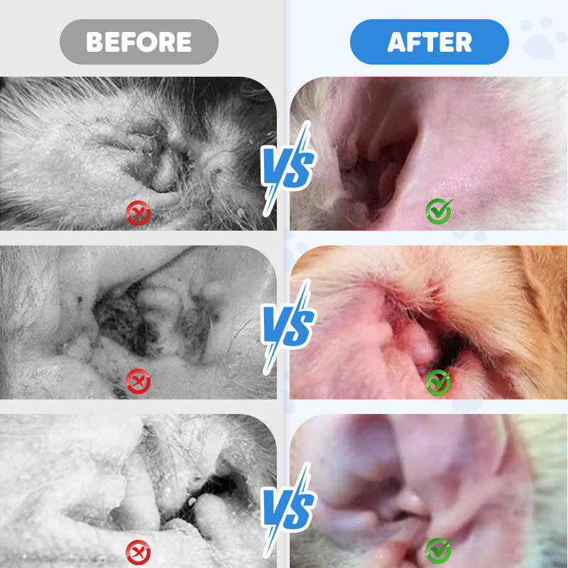 🥳2026 HOT SALE🥳💞50K+ SOLD!✨ 💝 Pet Ear Cleaner - Gentle Formula with Soothing Aloe for Dogs & Cats, Prevents Infections & Odor 🌿👂