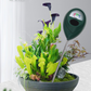 ⏳Limited-time 50% off⏰Professional soil moisture meter for indoor & outdoor plants🌱💦