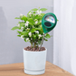 ⏳Limited-time 50% off⏰Professional soil moisture meter for indoor & outdoor plants🌱💦