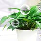 Universal Plant Nutrient Solution | Strong Roots, Healthy Soil, Enhanced Growth
