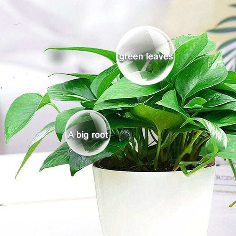 Universal Plant Nutrient Solution | Strong Roots, Healthy Soil, Enhanced Growth