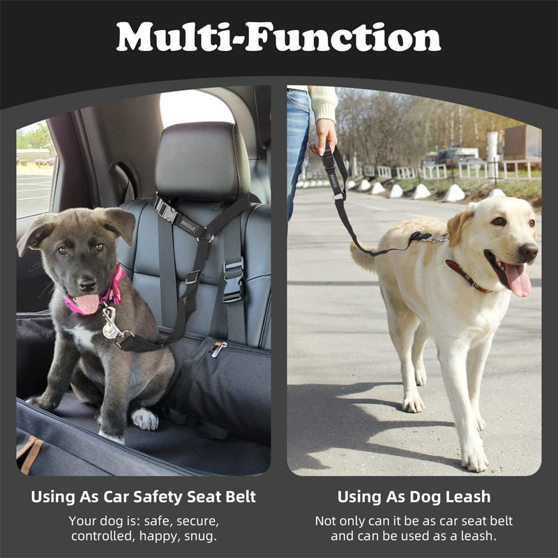 🏆 Last Day Special Price £9.99 ! 🔥Buy more save more🎁2-in-1 Dog Car Seat Belt & Walking Leash