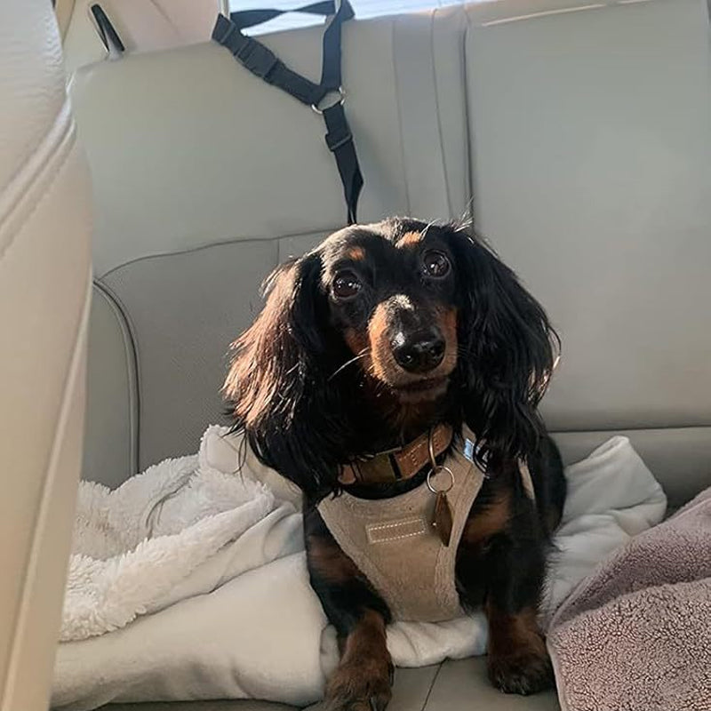 🏆 Last Day Special Price £9.99 ! 🔥Buy more save more🎁2-in-1 Dog Car Seat Belt & Walking Leash