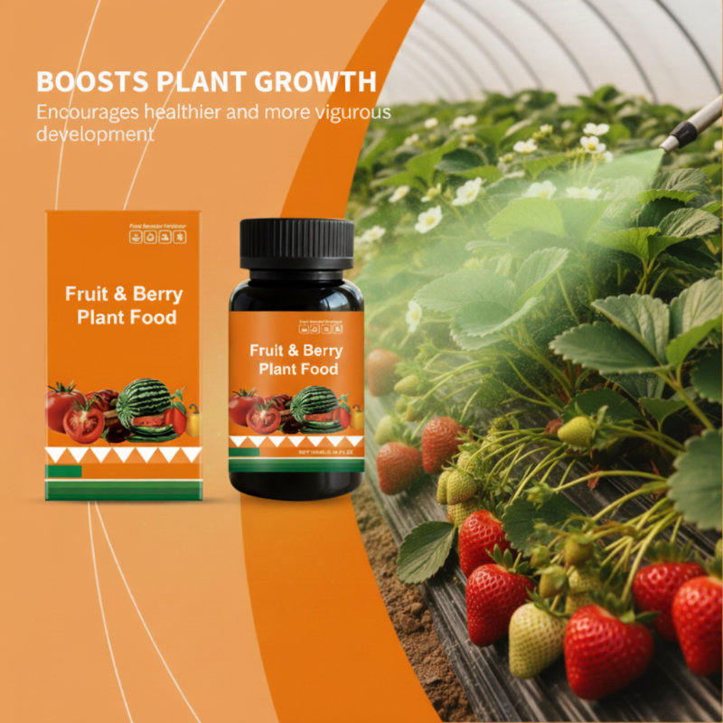💐50% OFF ! Fruit & Berry Plant Food – Abundant Harvests Guaranteed 🍓📈 【Limited Offer】