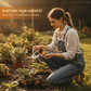 💐50% OFF ! Fruit & Berry Plant Food – Abundant Harvests Guaranteed 🍓📈 【Limited Offer】
