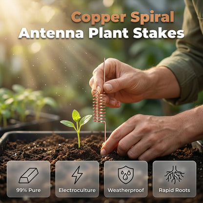 🔥Summer Hot Sale🔥Copper Spiral Antenna Plant Stakes