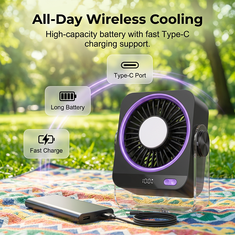 Portable Desk & Wall Fan with LED Display