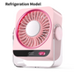 Portable Desk & Wall Fan with LED Display