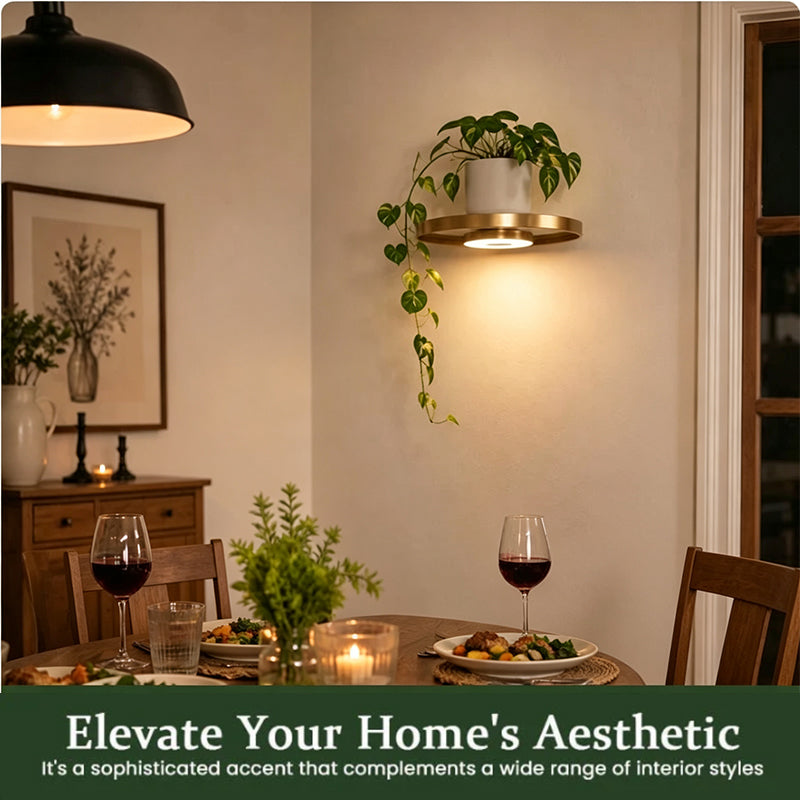 🎉 2026 Sale — Over 39,000 Sold!✨ Floating Shelf with Built-in LED Light 🪴