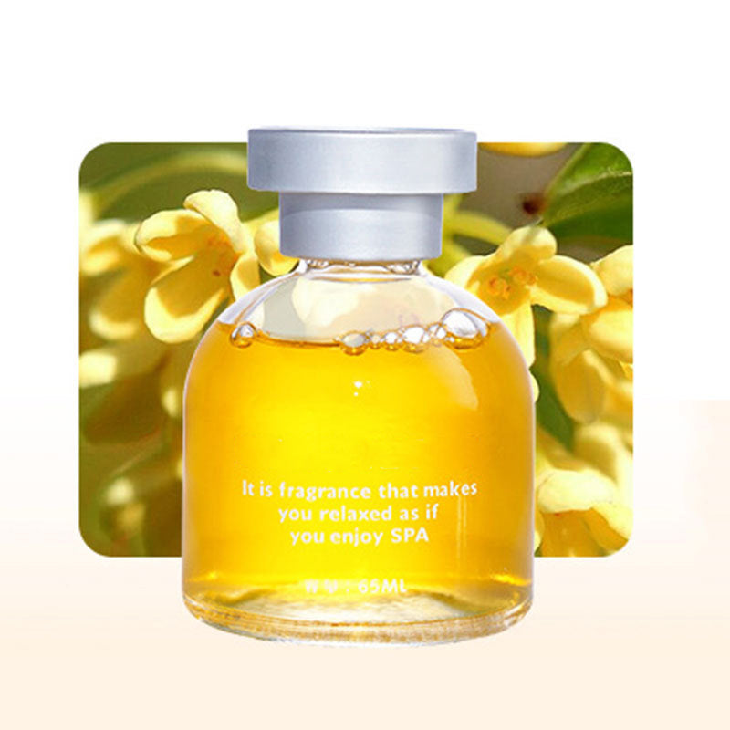🎁2026 New Arrivals 50% OFF💥Long Lasting Car Perfume, Mild Natural Fragrance Auto Air Freshener, Effective Odor Eliminator, Compact Decorative Car Scent for Dashboard