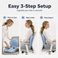 🪑 56% OFF NOW! ✨ Ergonomic memory foam seat cushion with back support – comfortable & supportive for home, office, and car 💺🛡️