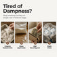 Reusable Mini Dehumidifier for Home