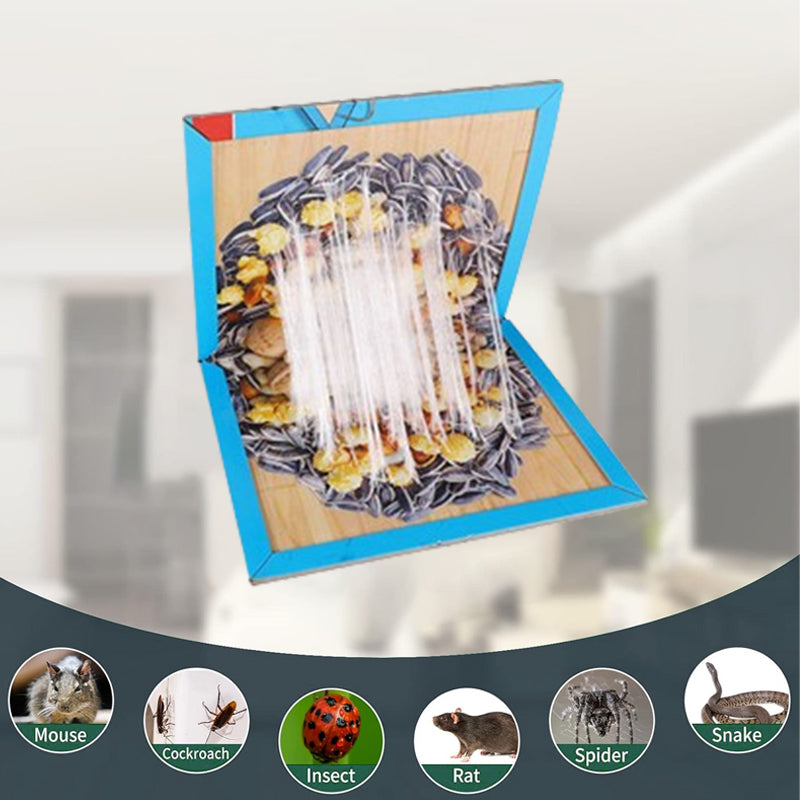 ⏳🔥LIMITED-TIME 50% OFF! ⏰Mouse Glue Trap Indoor Use for Home