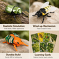 Wind-Up Winged Insect Simulation Toy Set with Educational Cards