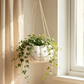 Halloween Hanging Pumpkin Flower Pot