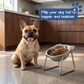 🏆 Last Day Special Price £9.99! 🥣15° Tilted Orthopaedic Feeding Bowl
