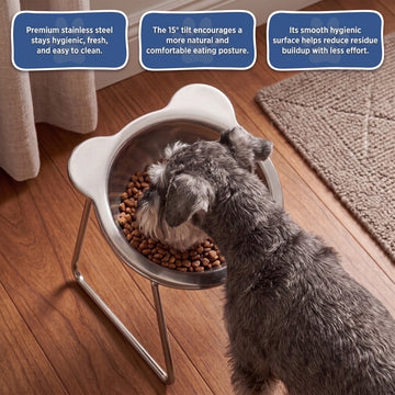 🏆 Last Day Special Price £9.99! 🥣15° Tilted Orthopaedic Feeding Bowl