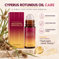 🧴50% OFF NOW! Post-Hair Removal Soothing Oil Roll-On – Cyperus Rotundus Oil Moisturizing Serum Roll-On, Calming Hydrating After Shave & Waxing Skin Care for Body