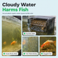 🥳2026 HOT SALE🥳💞50K+ SOLD! 🐠💧 50% OFF! Activated Carbon Filter Cube – honeycomb filtration clears cloudy water, removes odors. Anti-crumble block for crystal-clear aquarium! 🛡️✅