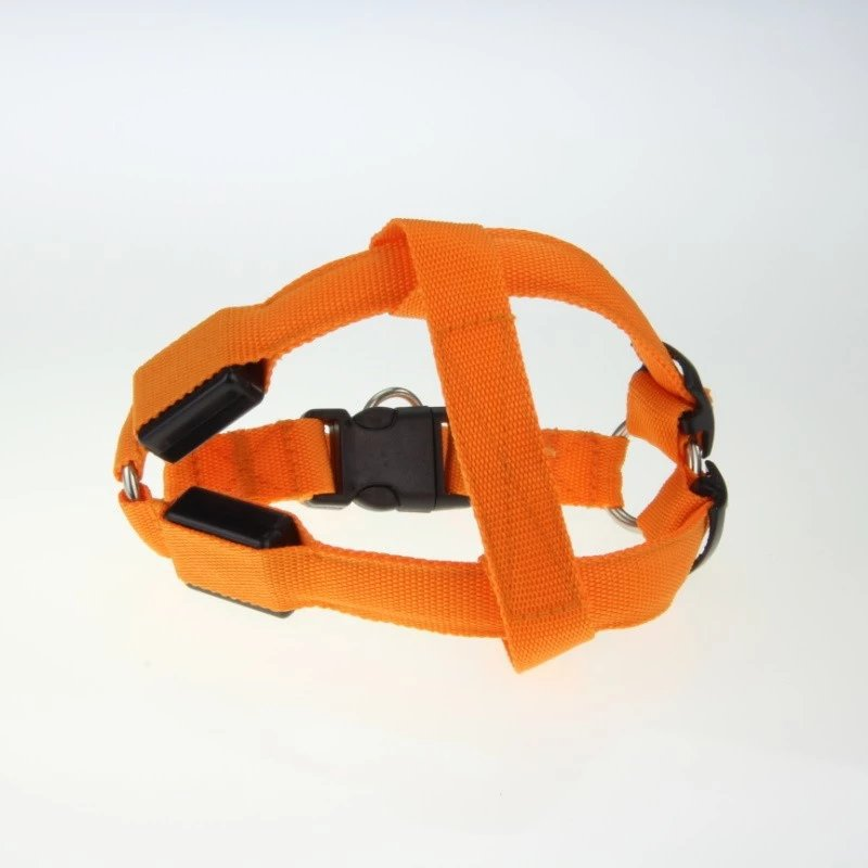 LED Light-Up Dog Harness for Night Walking